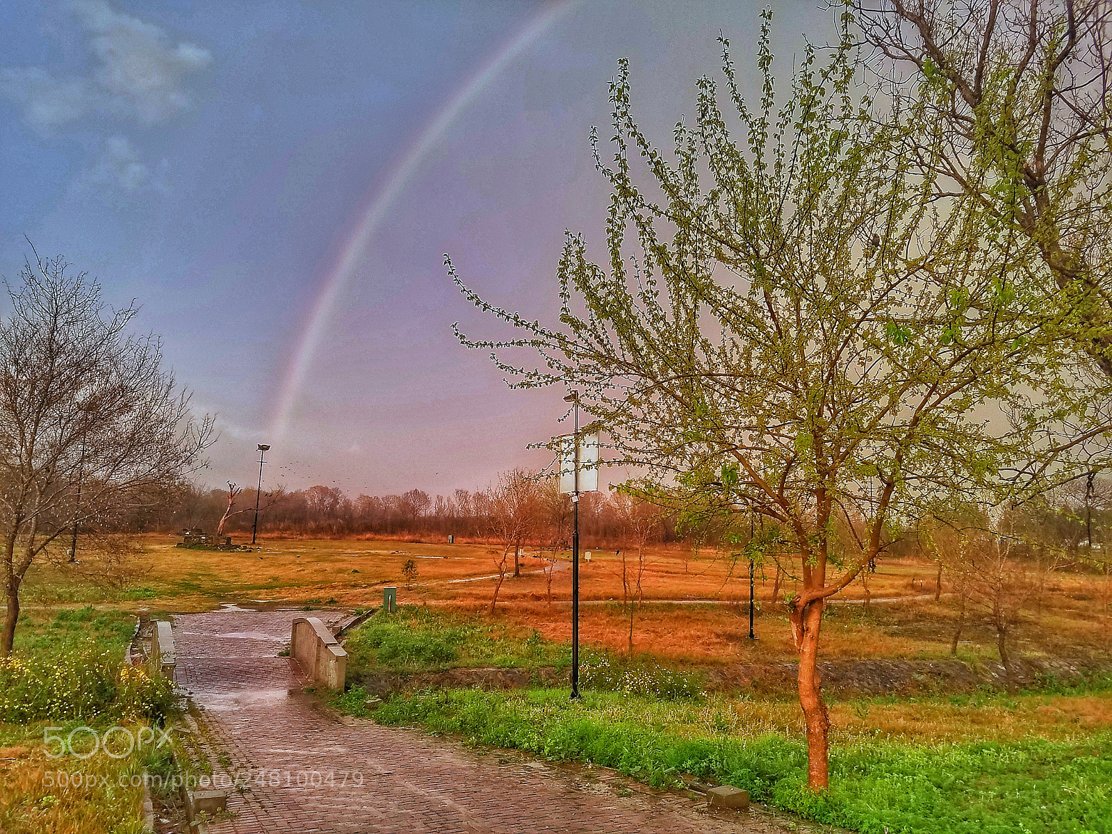 Samsung Galaxy S7 Edge sample photo. Untitled photography