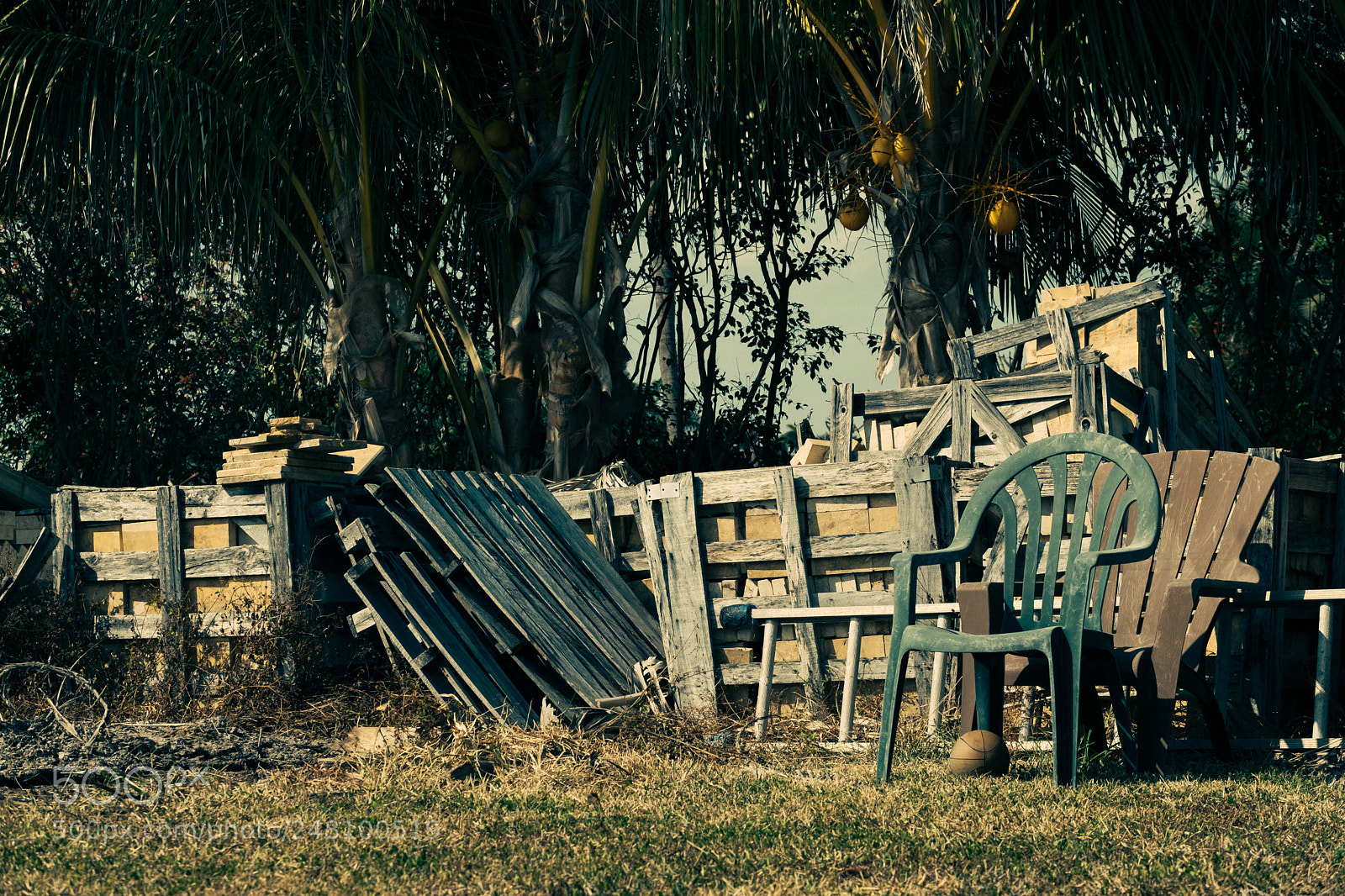 Fujifilm X-T2 sample photo. Florida photography