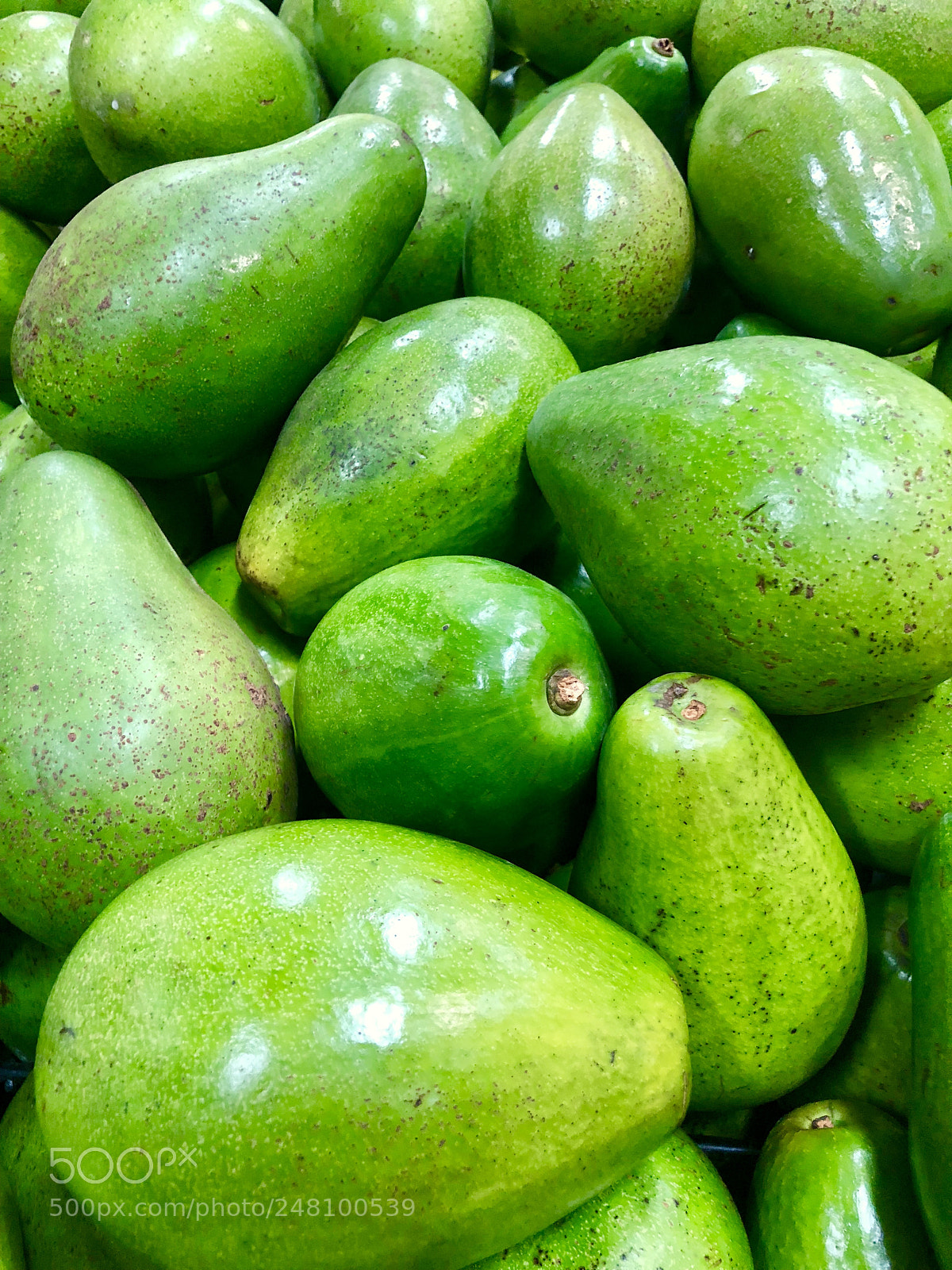 Apple iPhone X sample photo. Untitled photography