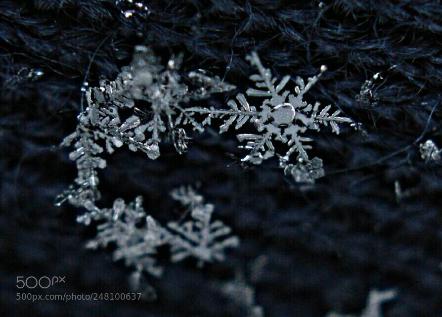 Nikon D3200 sample photo. Untitled photography