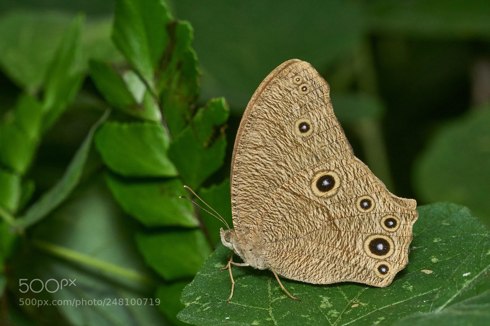 Sony ILCA-77M2 sample photo. Picture of the day photography