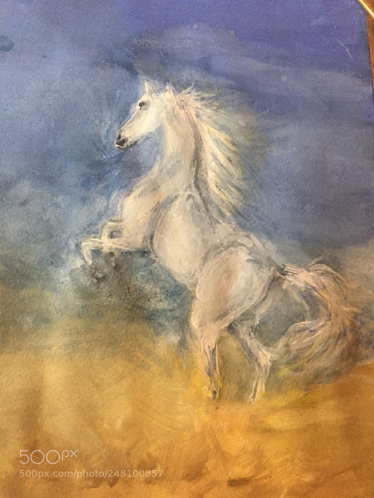 Apple iPhone 6 sample photo. Wild horse photography