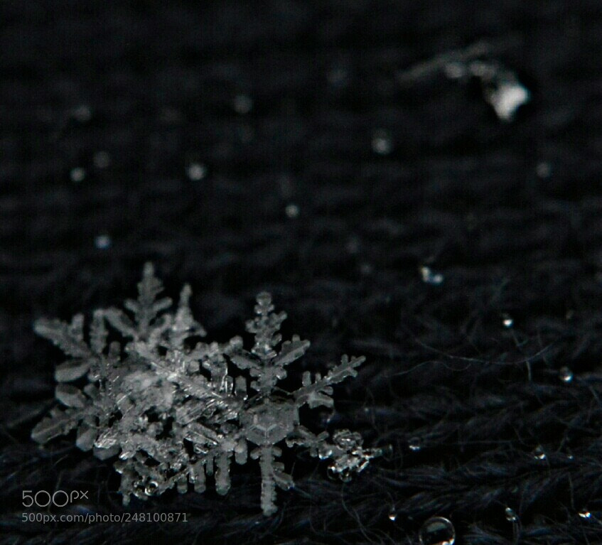 Nikon D3200 sample photo. Untitled photography