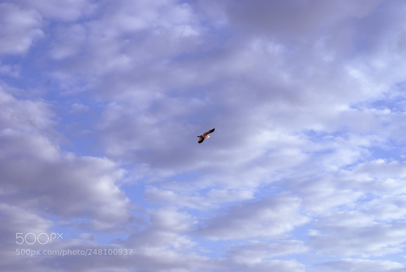 Nikon D80 sample photo. Minimal photography