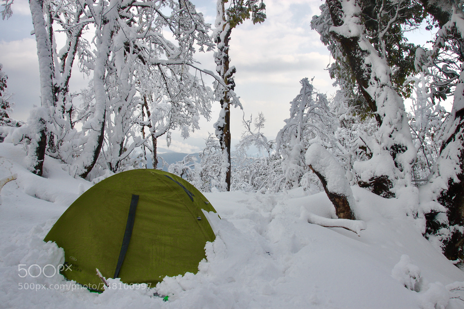 Canon EOS 500D (EOS Rebel T1i / EOS Kiss X3) sample photo. Snowing photography