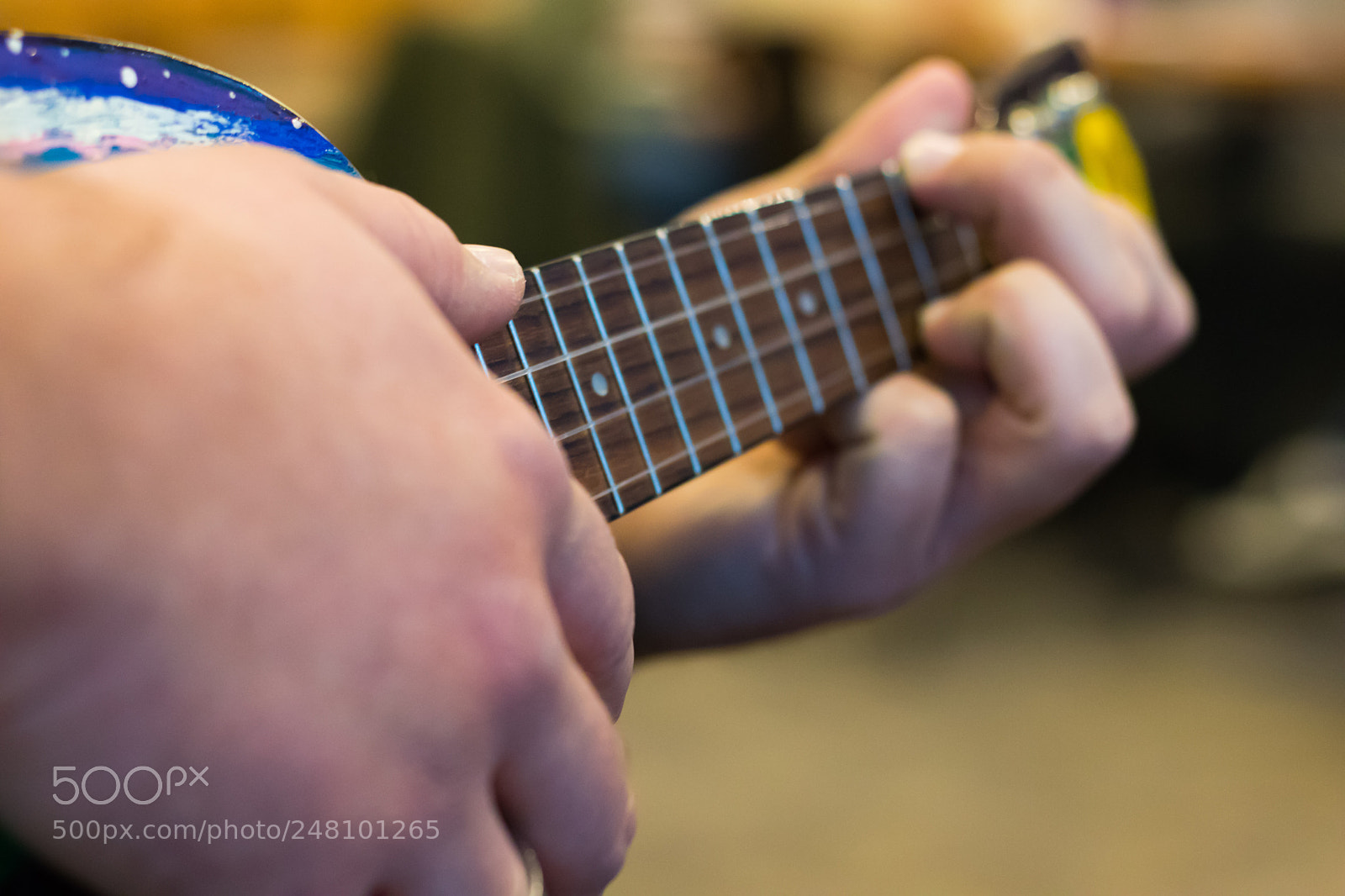 Canon EOS 800D (EOS Rebel T7i / EOS Kiss X9i) sample photo. Playing guitar photography