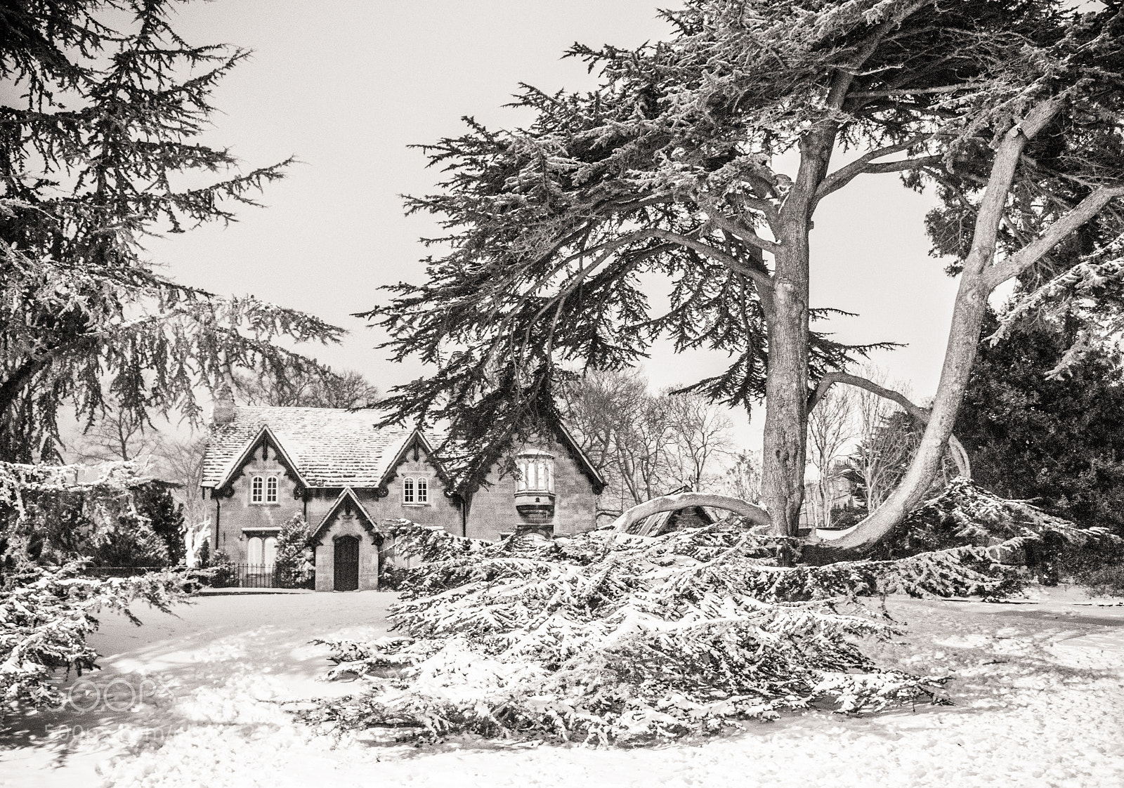 Nikon D800 sample photo. Keepers cottage photography