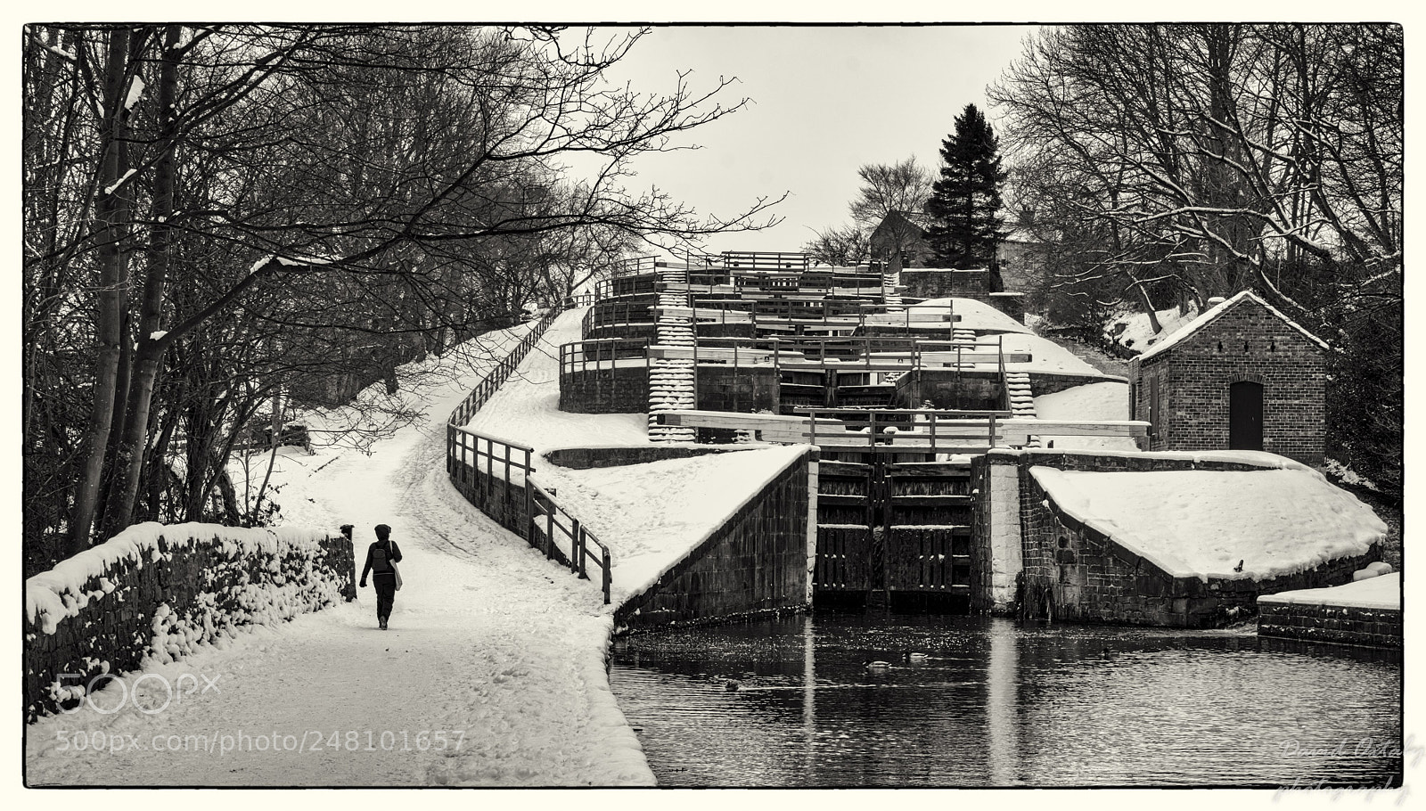 Nikon D7200 sample photo. Five rise locks in photography