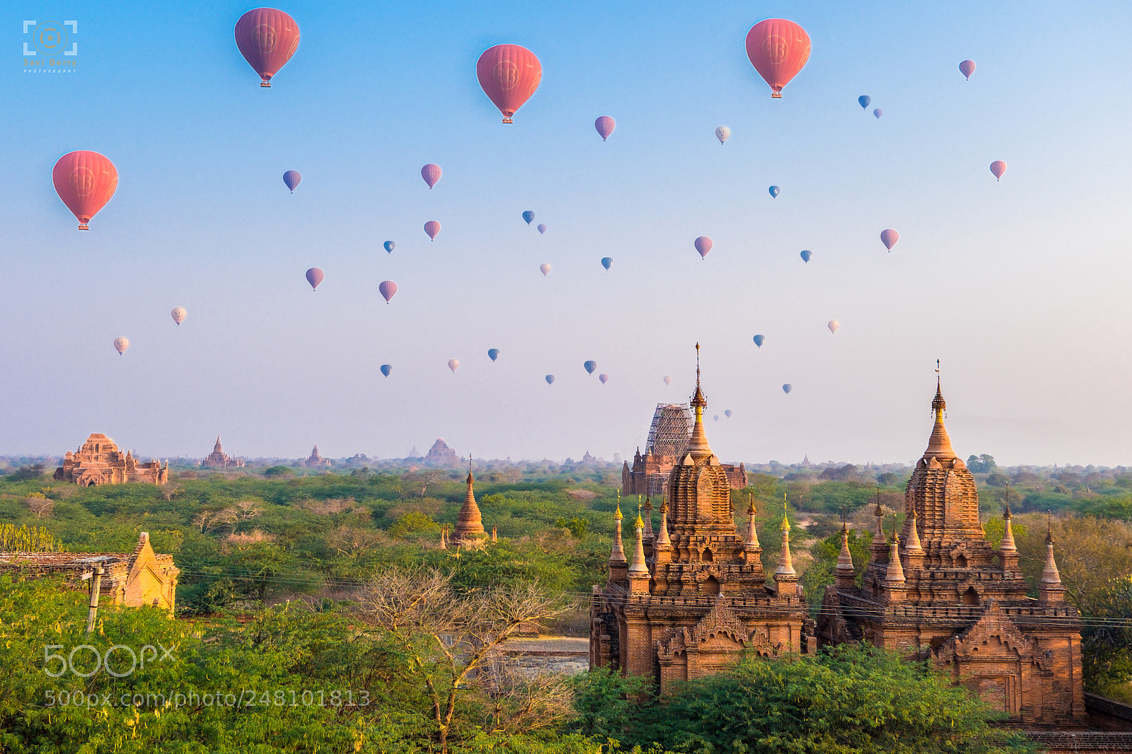 Fujifilm X-T1 sample photo. Balloons over bagan photography