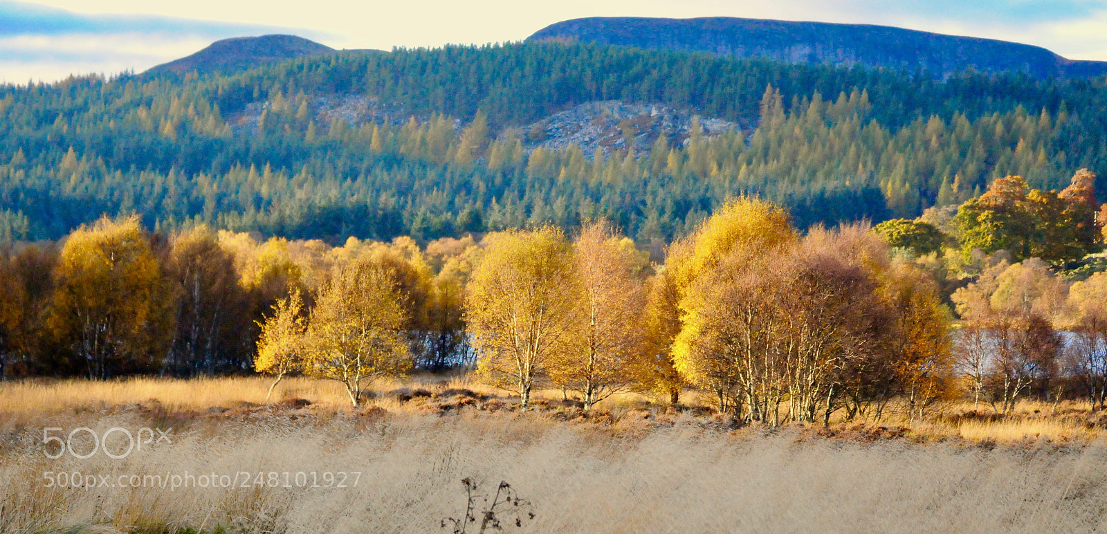 Nikon D300 sample photo. A colourful morning in photography