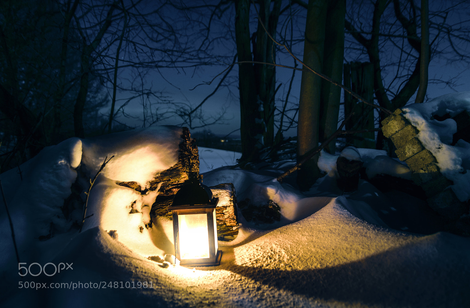 Nikon D5300 sample photo. Winternights photography