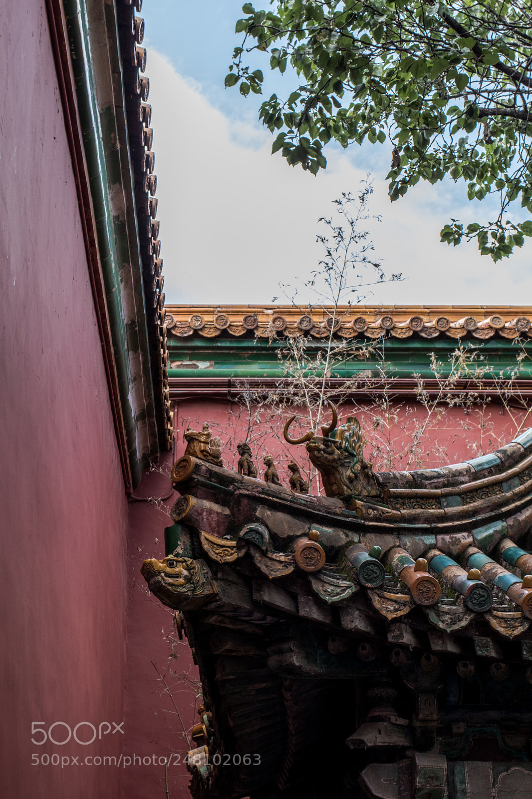 Canon EOS 80D sample photo. Peking photography