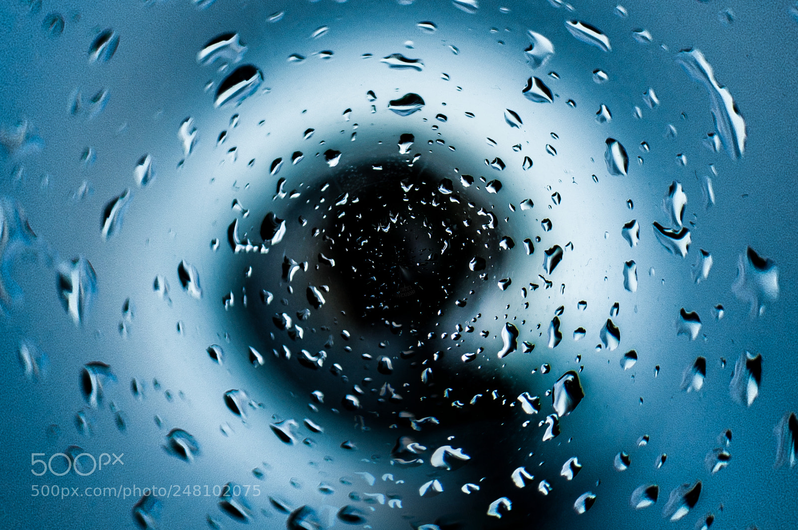 Nikon D90 sample photo. Background photography