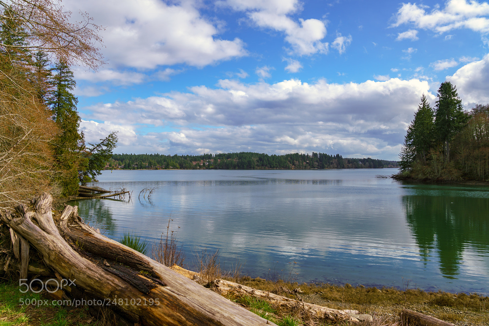 Sony a7R II sample photo. Henderson inlet photography