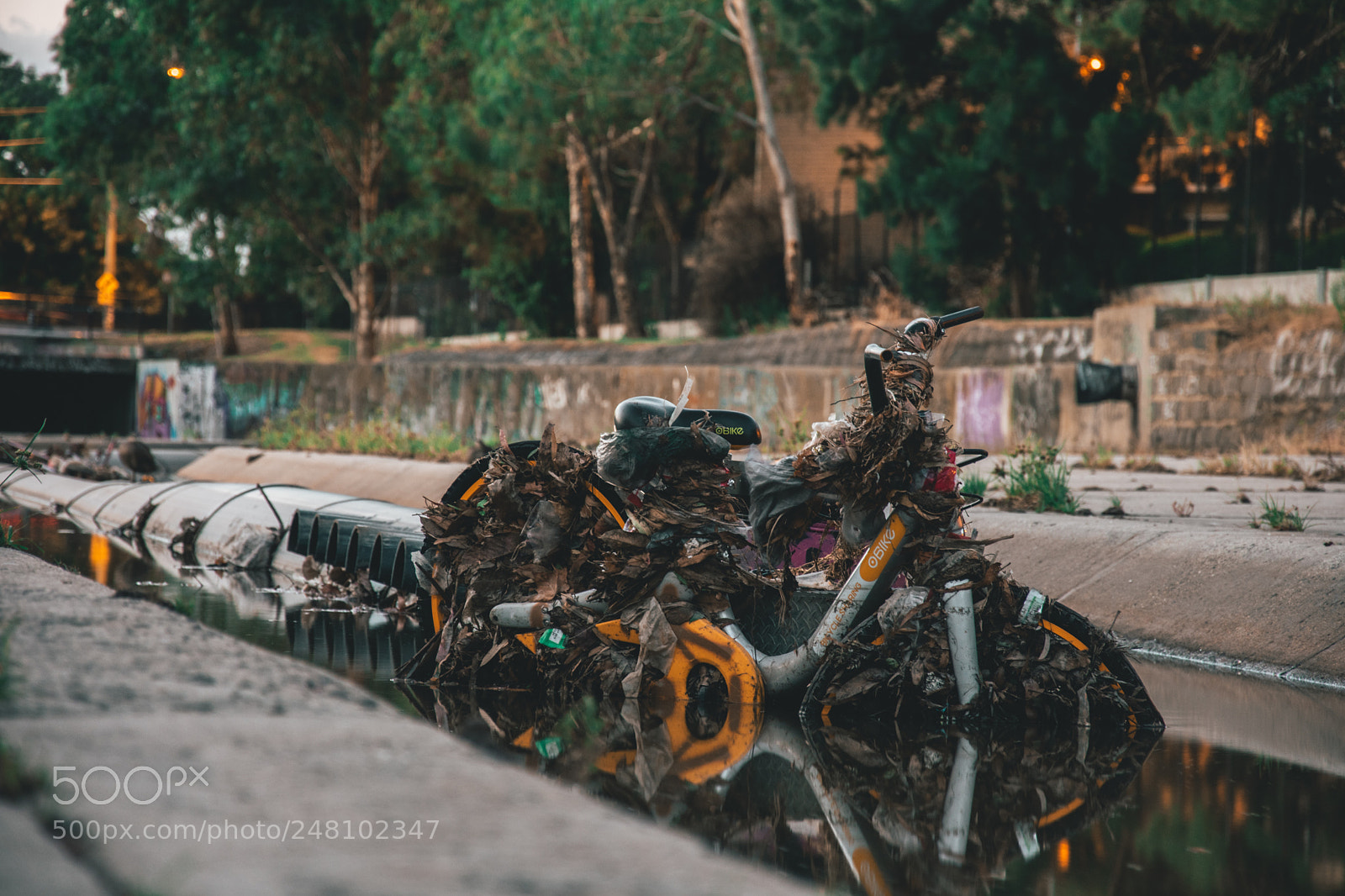 Nikon D3400 sample photo. O-bike where it belongs photography