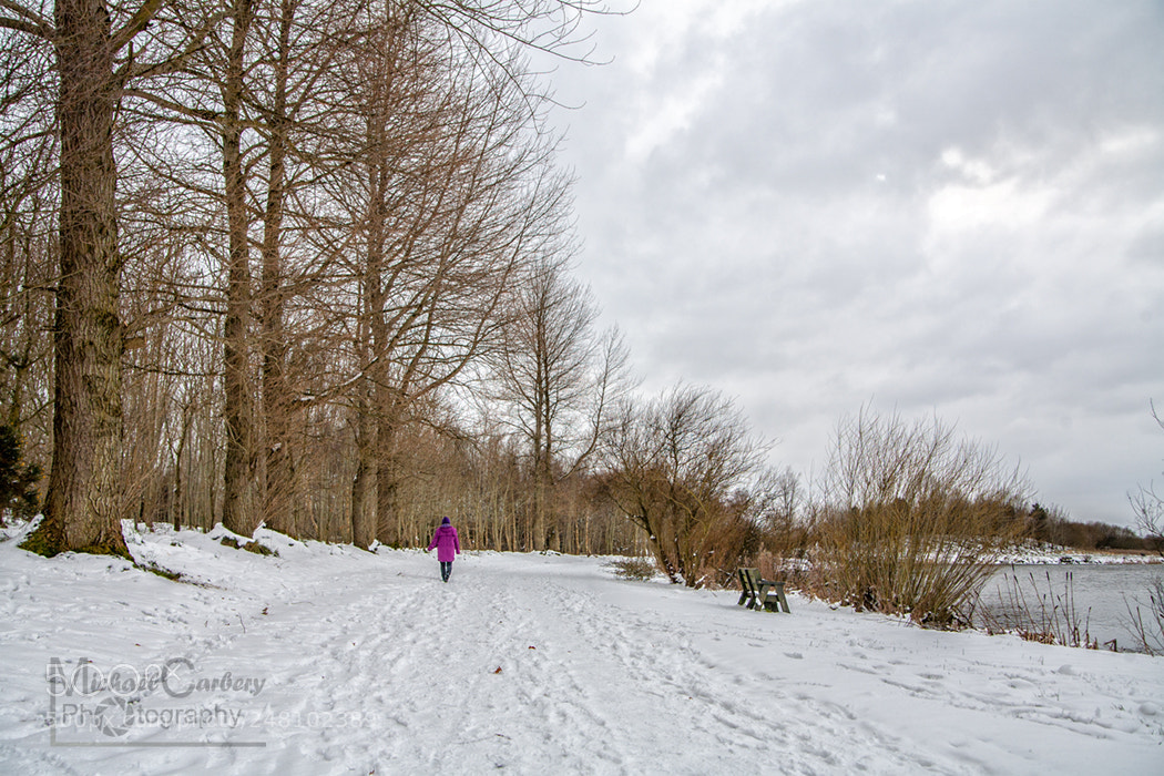 Canon EOS 5D sample photo. Winter walk photography