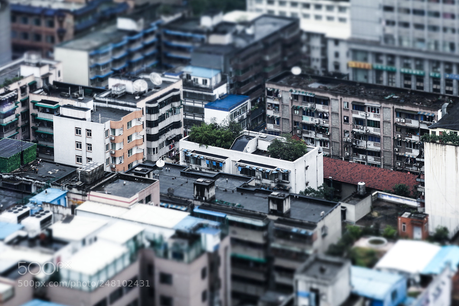 Canon EOS 80D sample photo. Chengdu photography