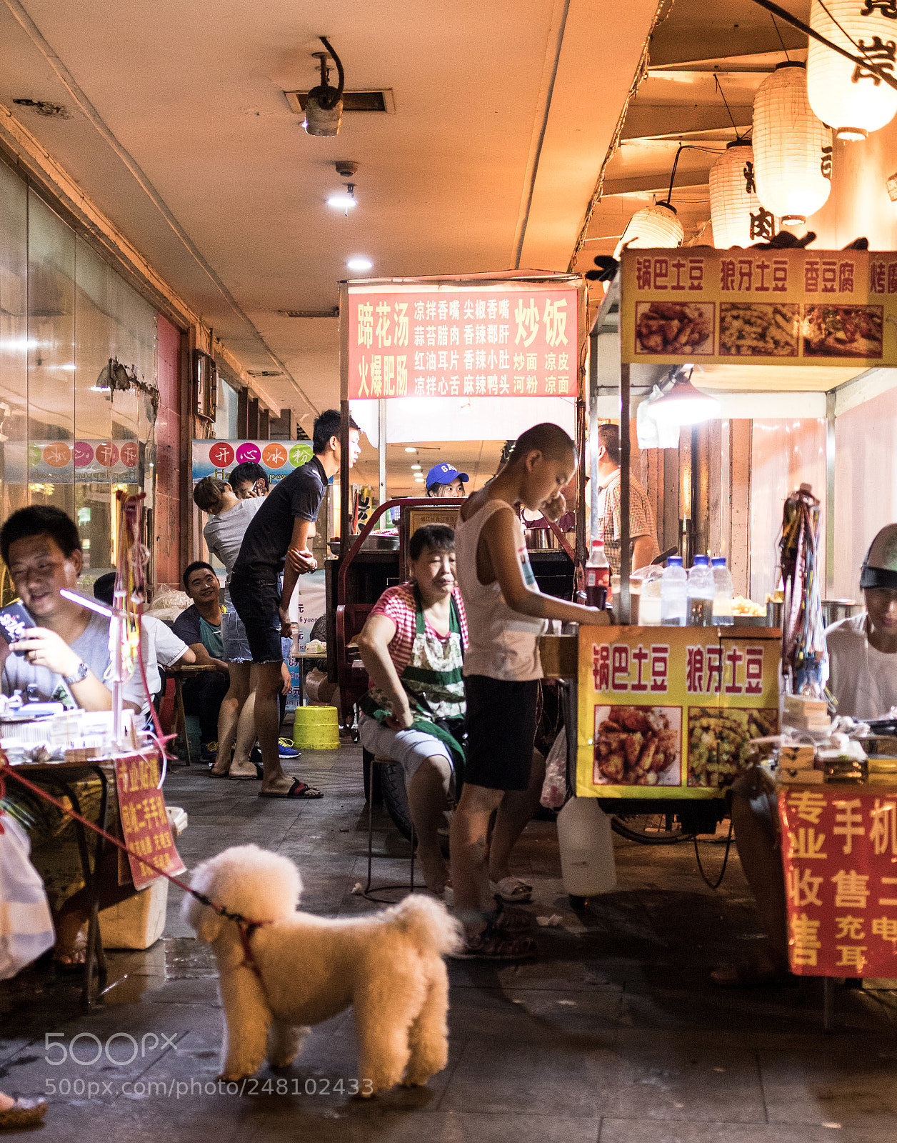 Canon EOS 80D sample photo. Chengdu photography