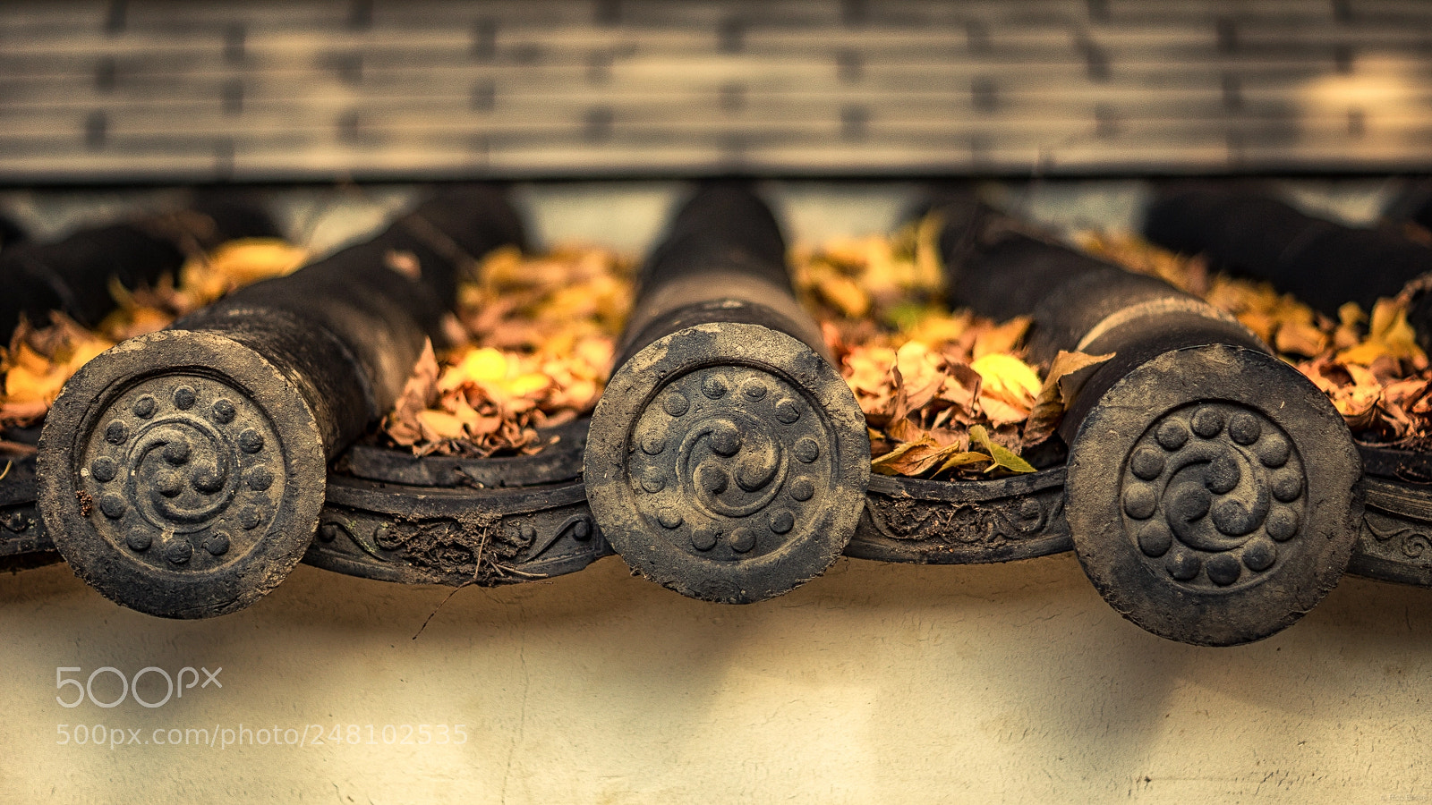 Sony SLT-A77 sample photo. Autumn roof japan photography