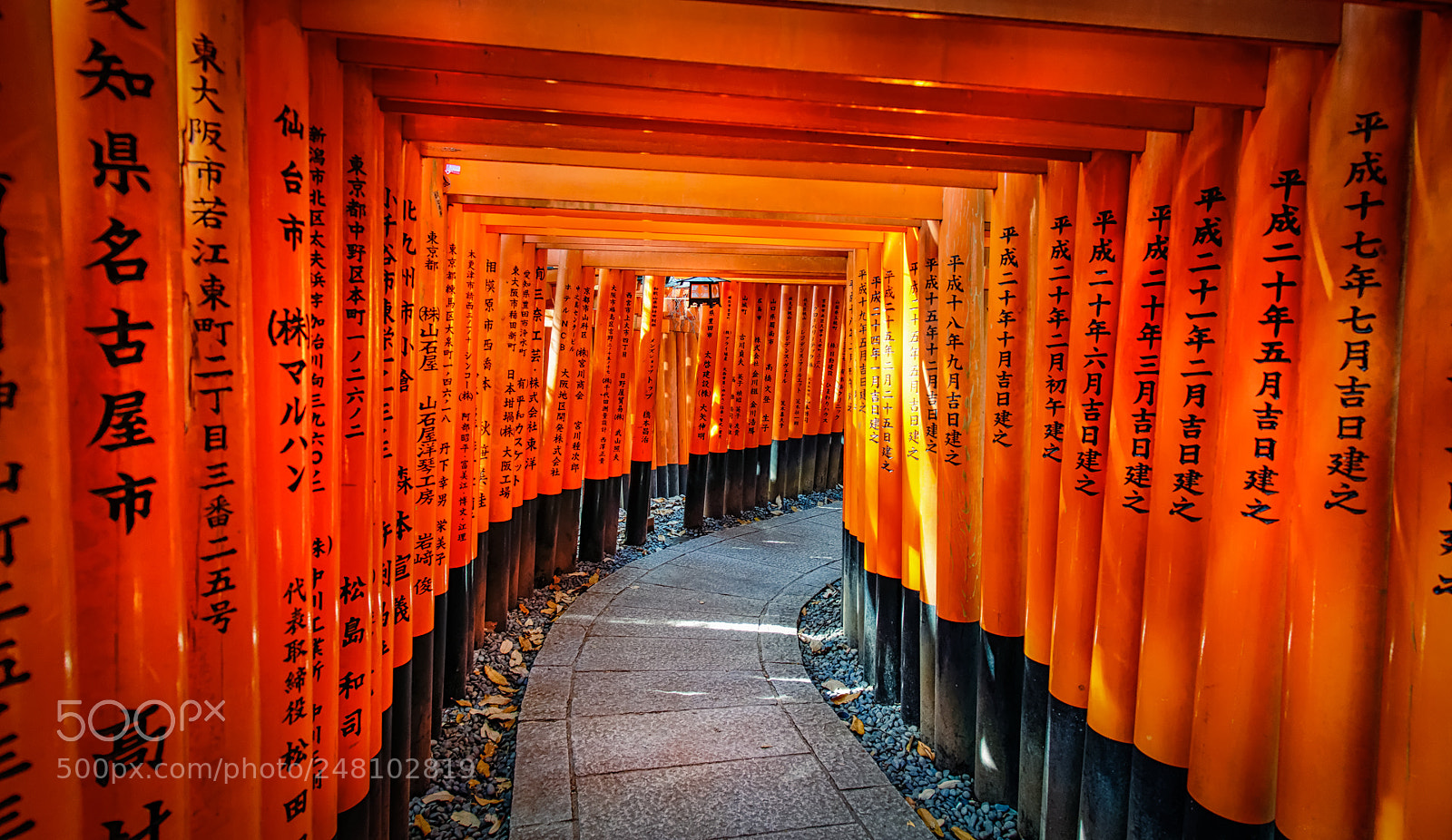 Sony SLT-A77 sample photo. Fushimi inari shrine japan photography