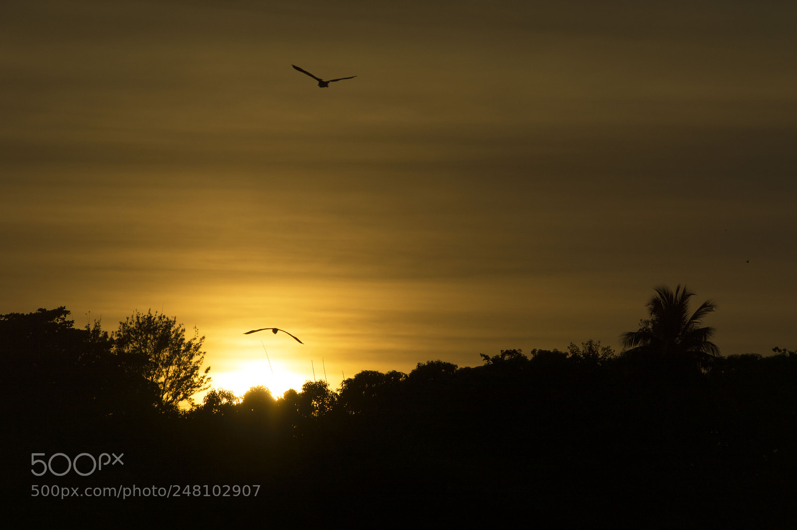 Nikon D3200 sample photo. The colors of sunrise photography