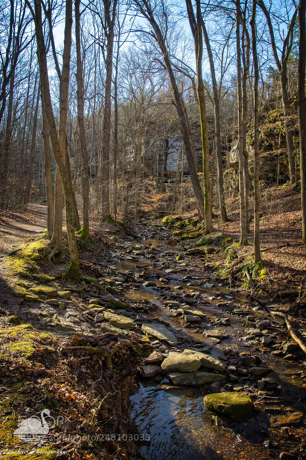 Nikon D5200 sample photo. Big rocky hollow trail photography