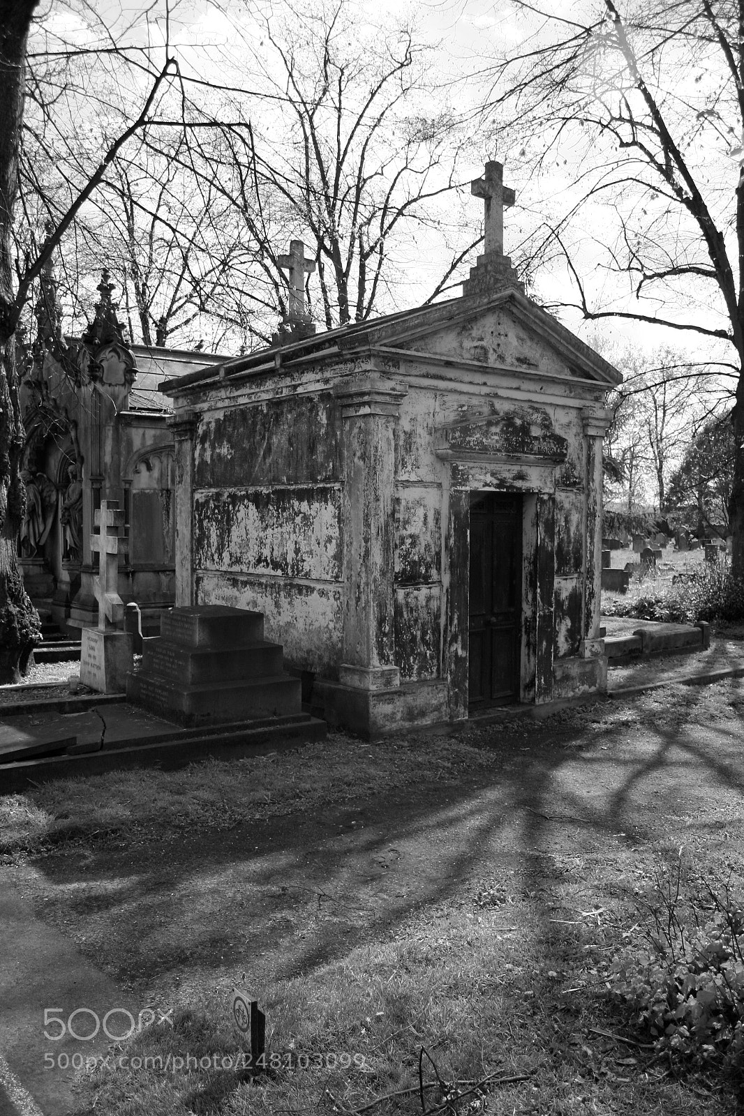 Canon EOS 350D (EOS Digital Rebel XT / EOS Kiss Digital N) sample photo. Img o photography