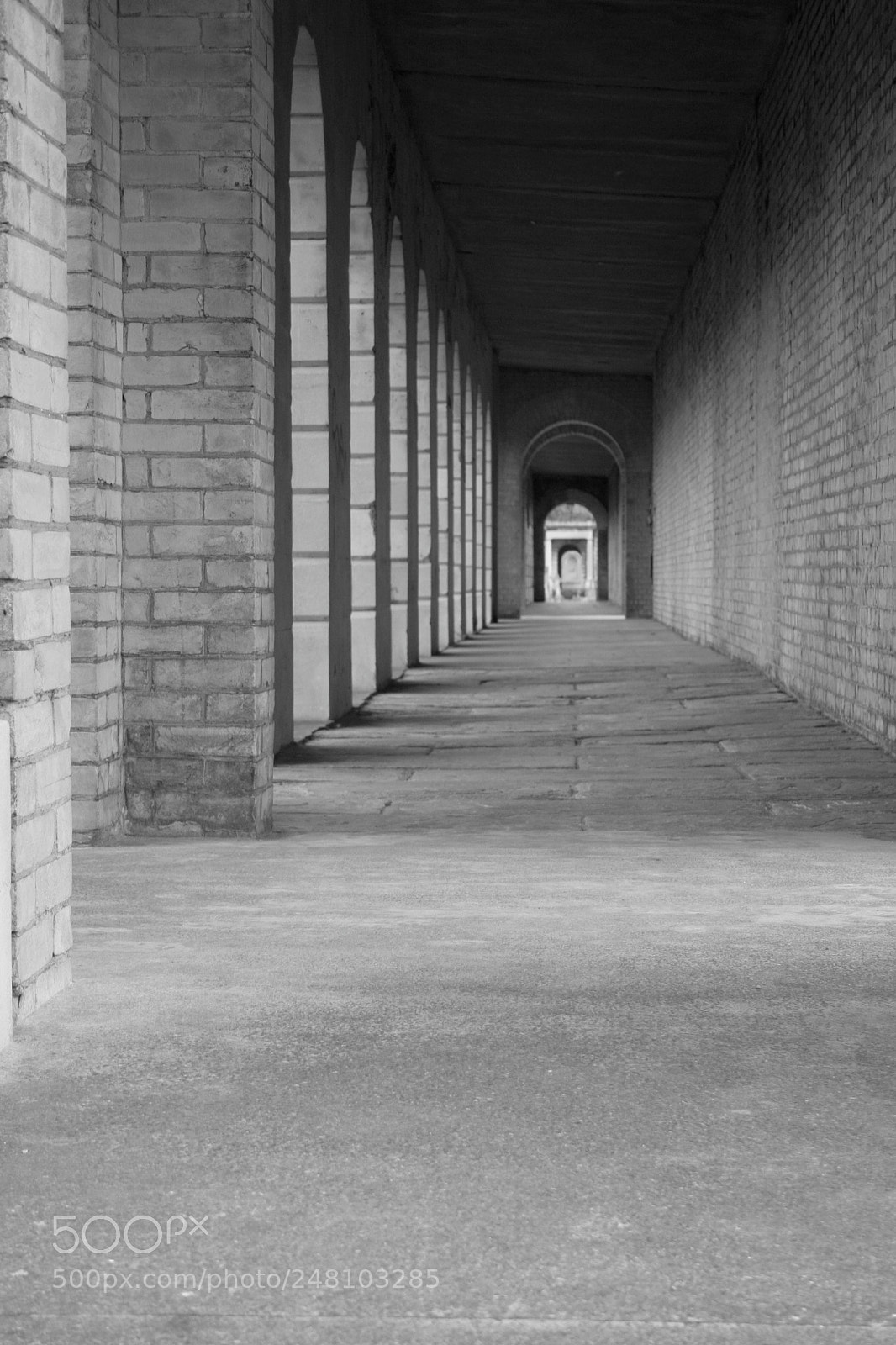 Canon EOS 350D (EOS Digital Rebel XT / EOS Kiss Digital N) sample photo. Img o photography