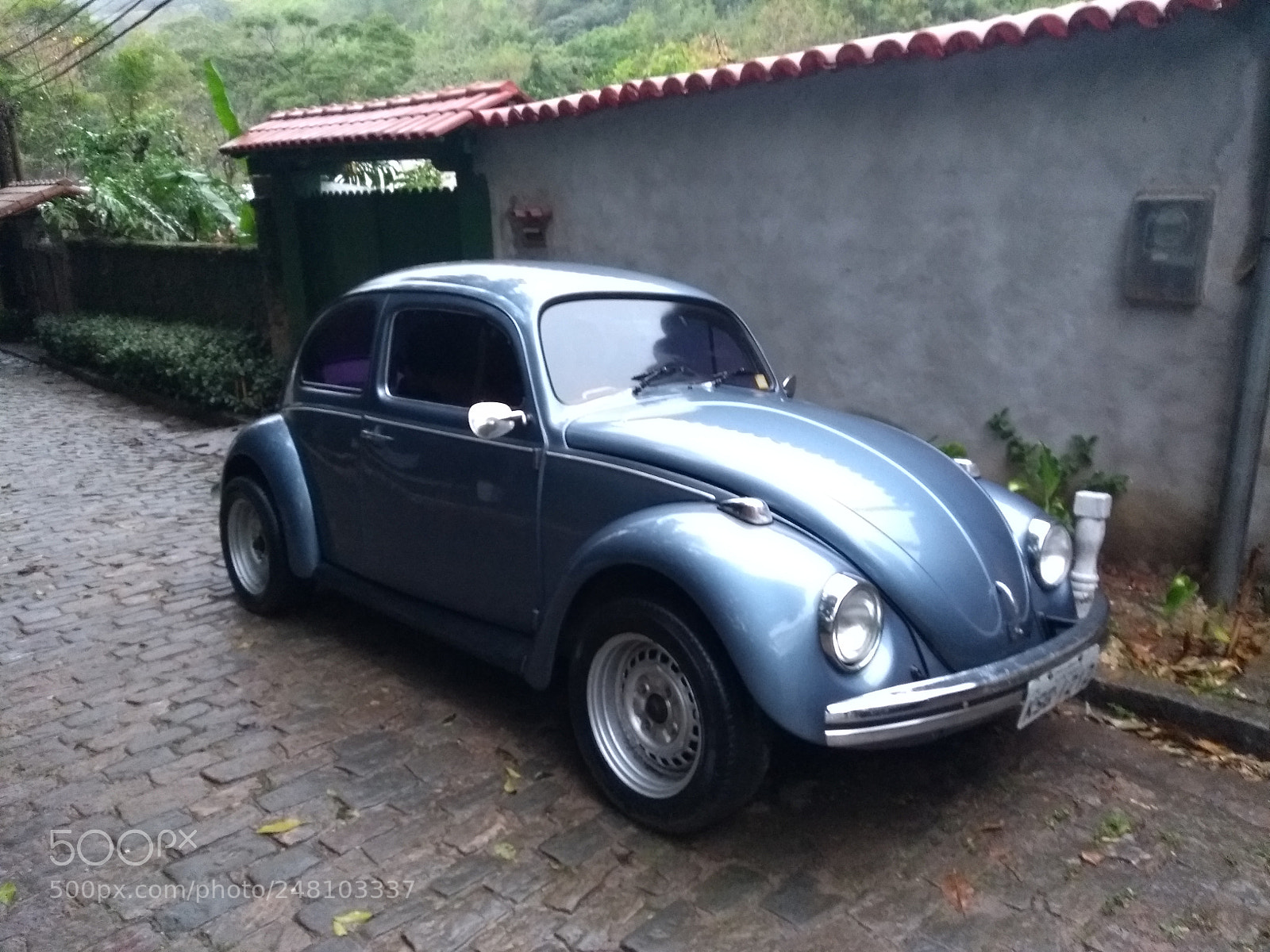 Motorola Moto G (5th Gen) sample photo. Corisco, the beetle photography