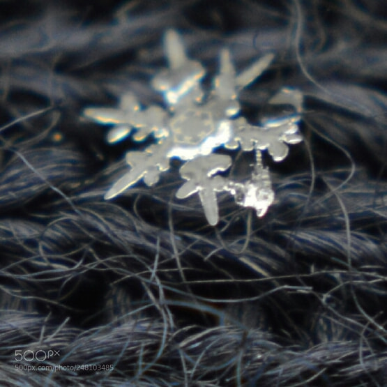 Nikon D3200 sample photo. Untitled photography