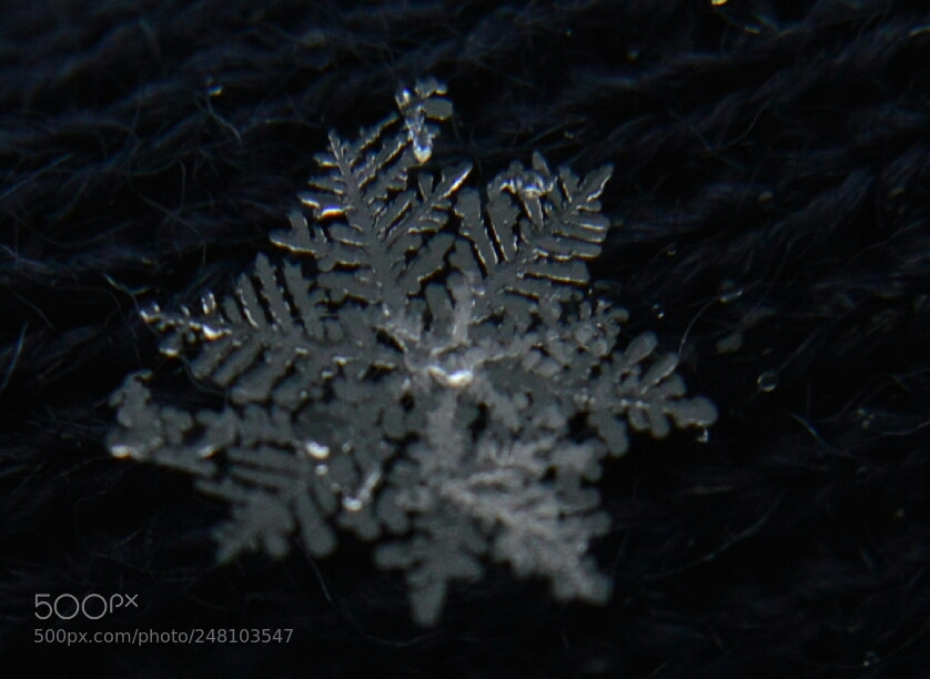Nikon D3200 sample photo. Untitled photography
