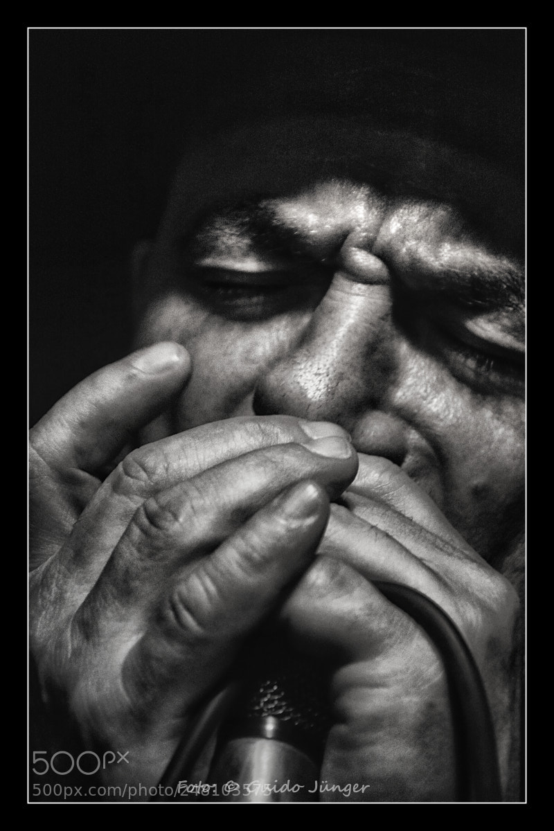 Nikon D7100 sample photo. Harp player photography