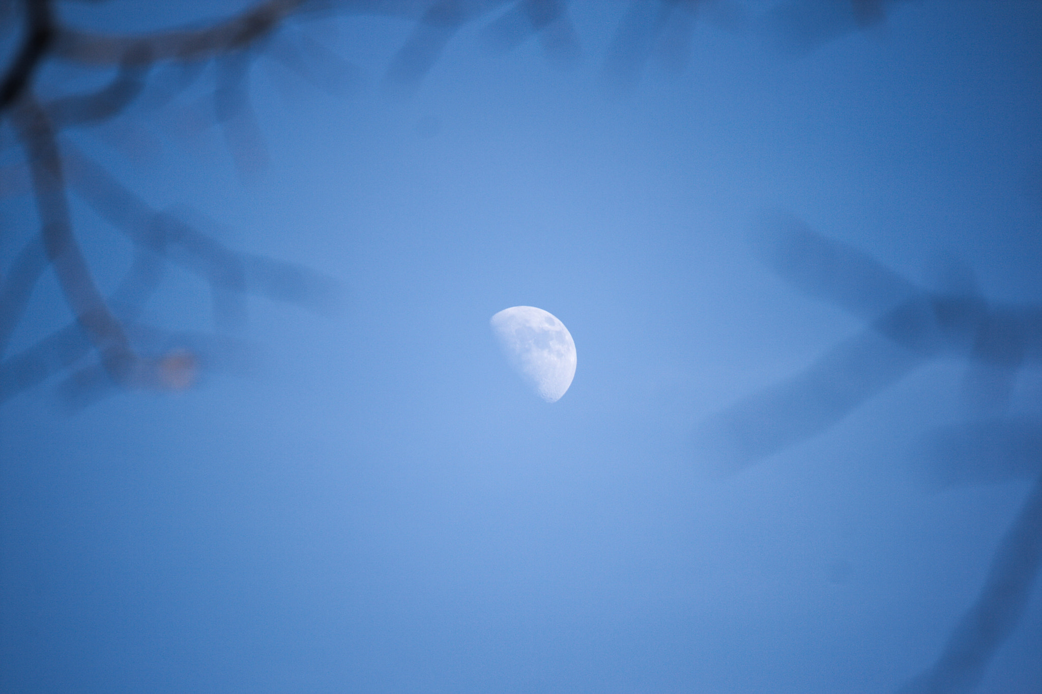 Canon EF-S 55-250mm F4-5.6 IS sample photo. Moon glimpse photography