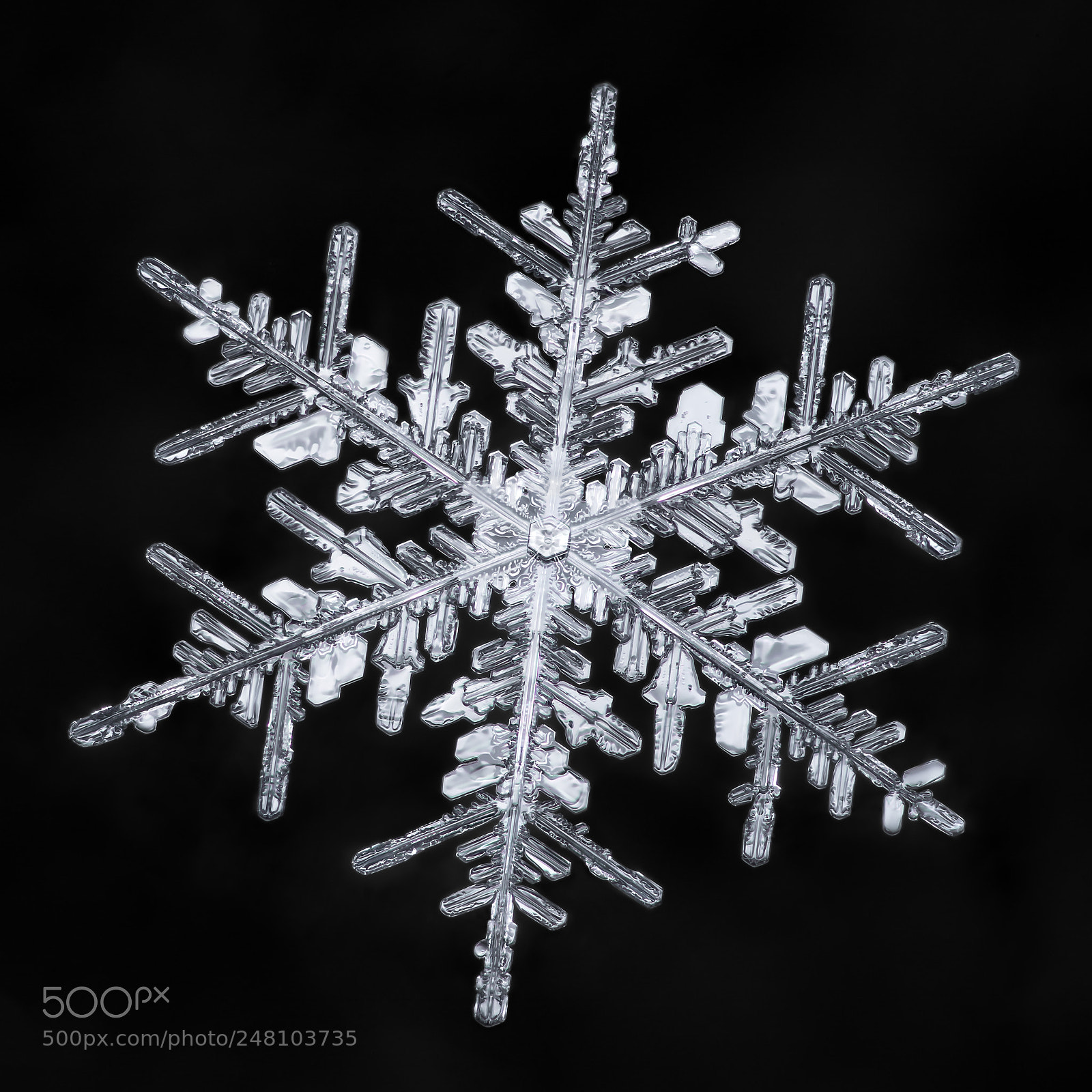 Canon EOS-1D X Mark II sample photo. Snowflake-a-day no. 59 photography
