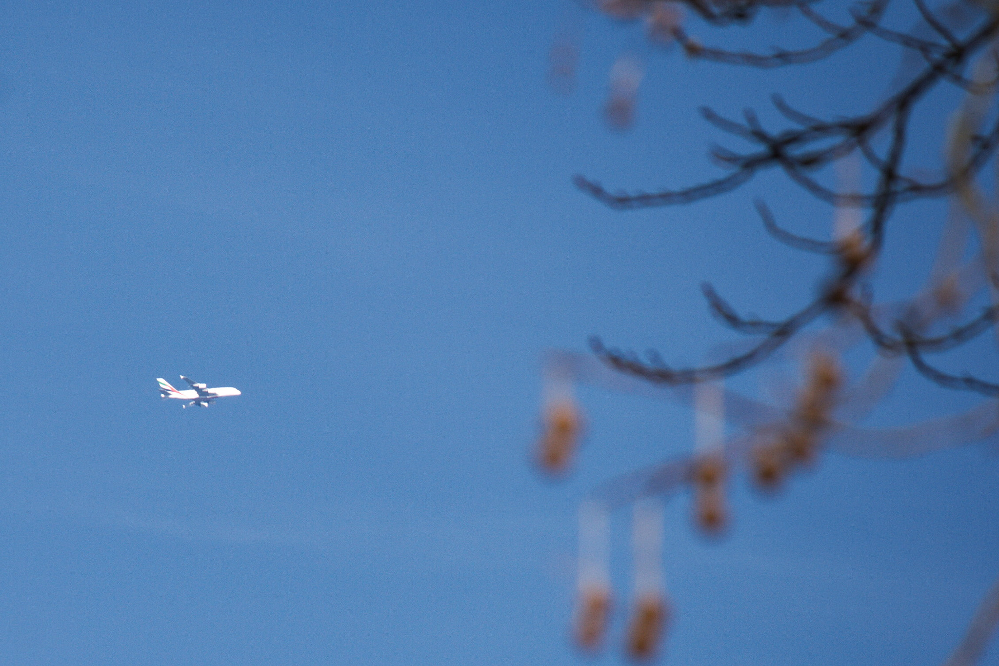 Canon EF-S 55-250mm F4-5.6 IS sample photo. Dreams of travel photography
