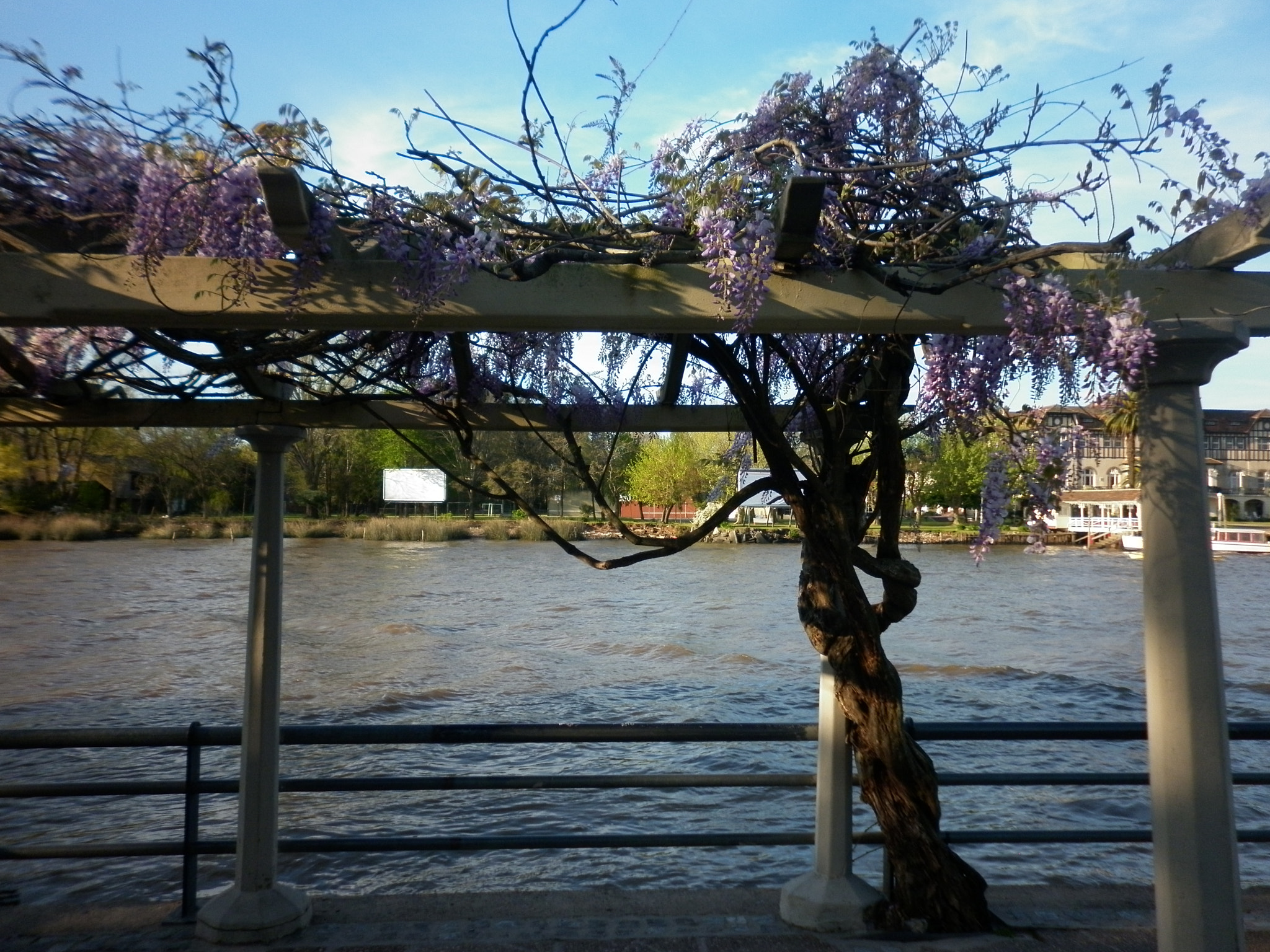 Panasonic DMC-F3 sample photo. Paseo victorica photography