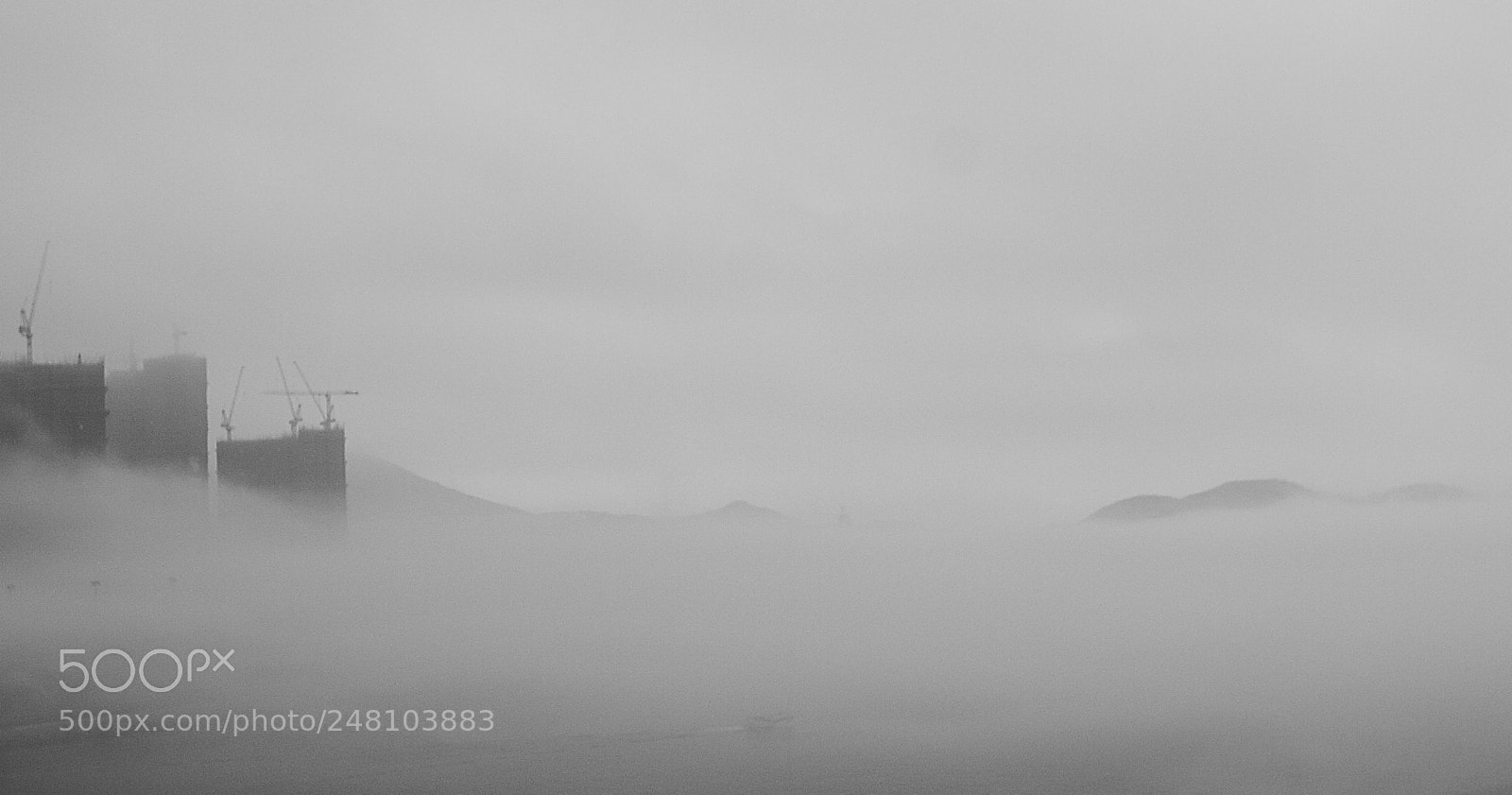 Canon EOS 40D sample photo. What the fog photography