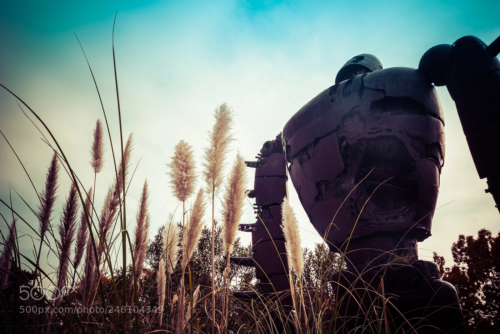 Sony Alpha DSLR-A300 sample photo. Laputa - studio ghibli photography