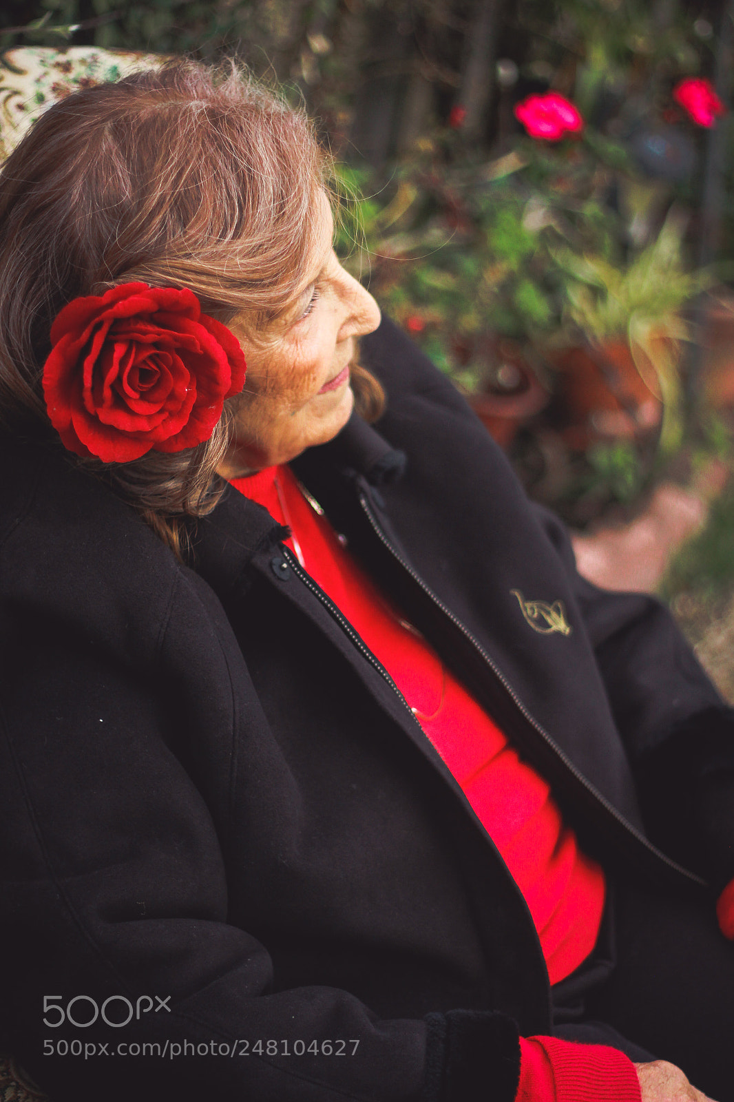 Canon EOS 60D sample photo. As a rose photography