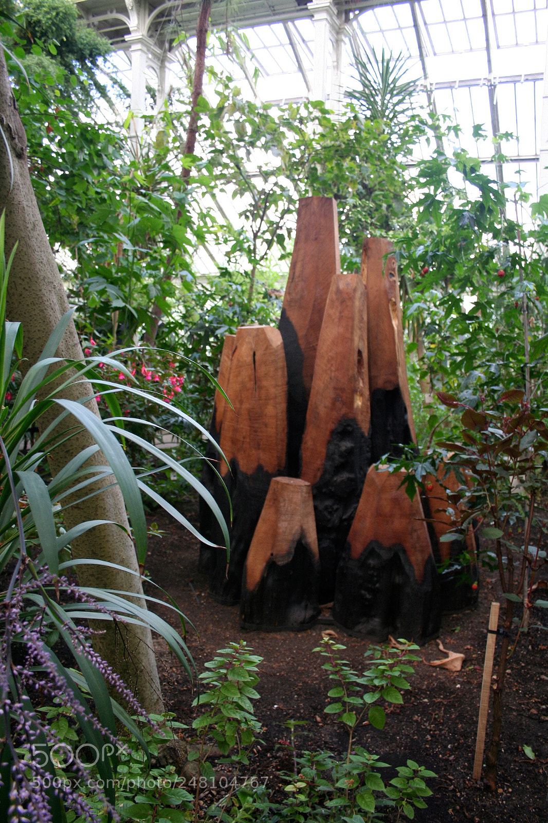Canon EOS 350D (EOS Digital Rebel XT / EOS Kiss Digital N) sample photo. David nash @ kew gardens photography