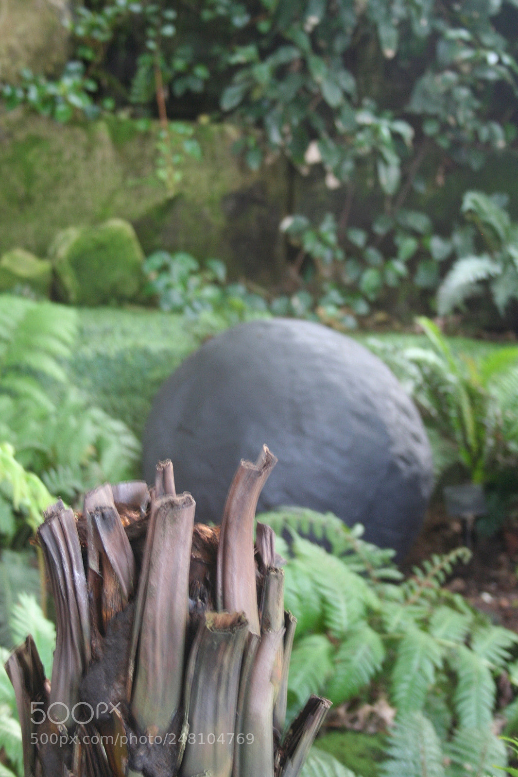 Canon EOS 350D (EOS Digital Rebel XT / EOS Kiss Digital N) sample photo. David nash @ kew gardens photography