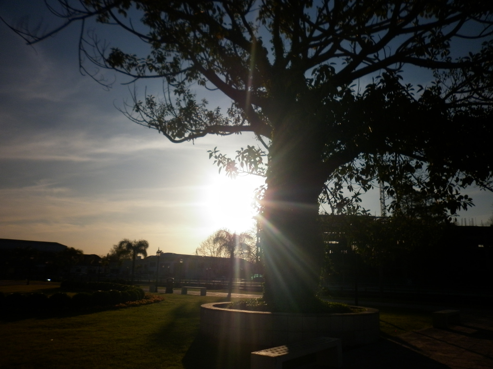 Panasonic DMC-F3 sample photo. Museo de arte tigre photography