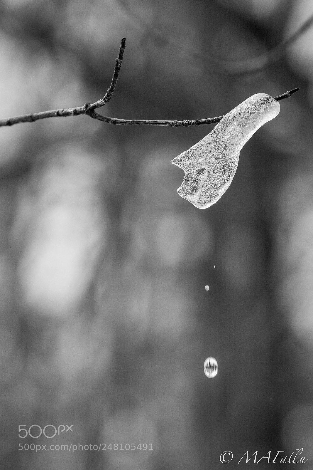 Nikon D7200 sample photo. Drop photography