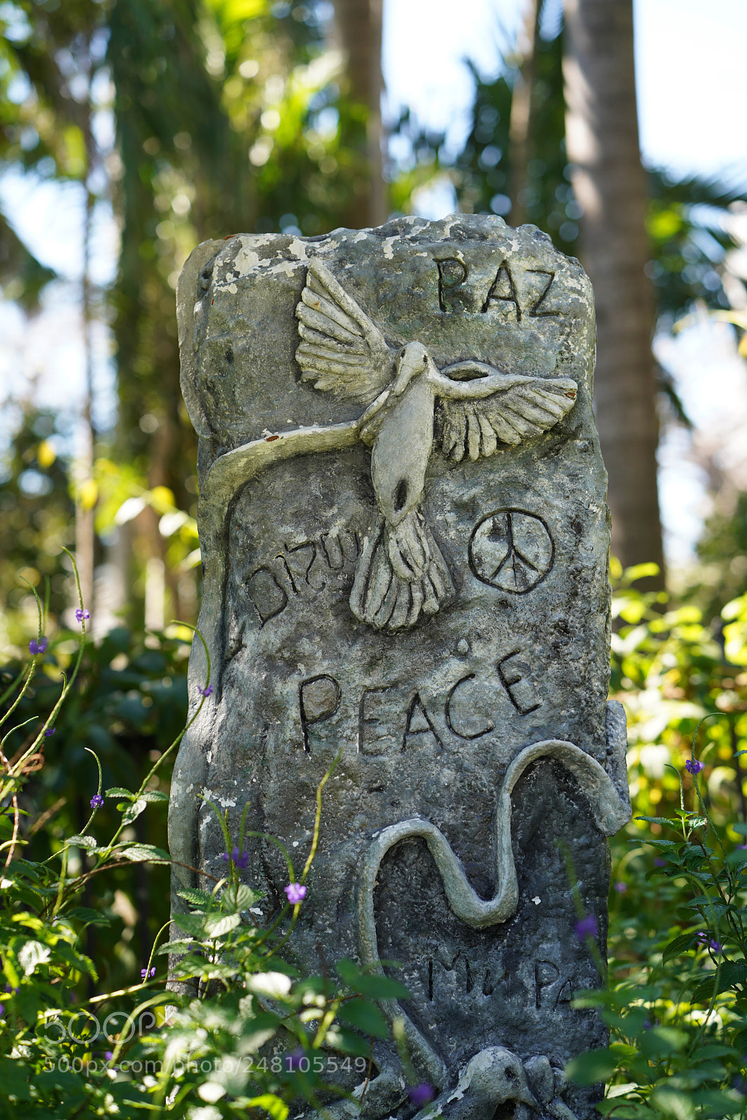 Sony a7R III sample photo. Miami botanical gardens photography