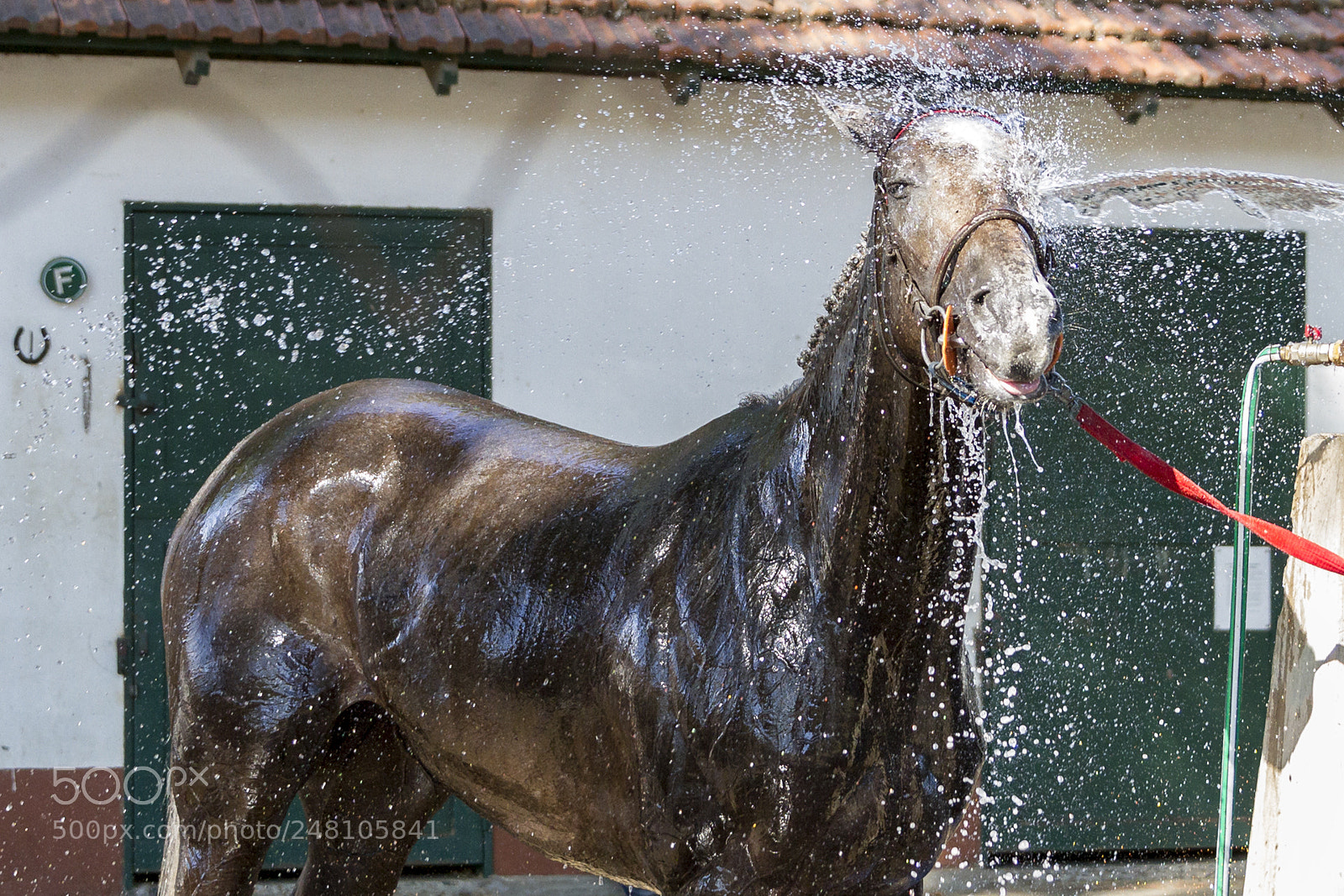 Canon EOS 7D sample photo. Shower photography