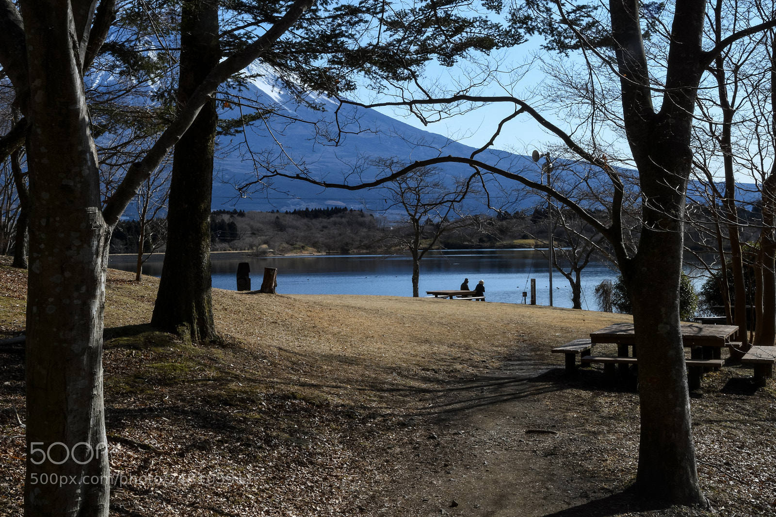 Nikon D500 sample photo. By the lake photography