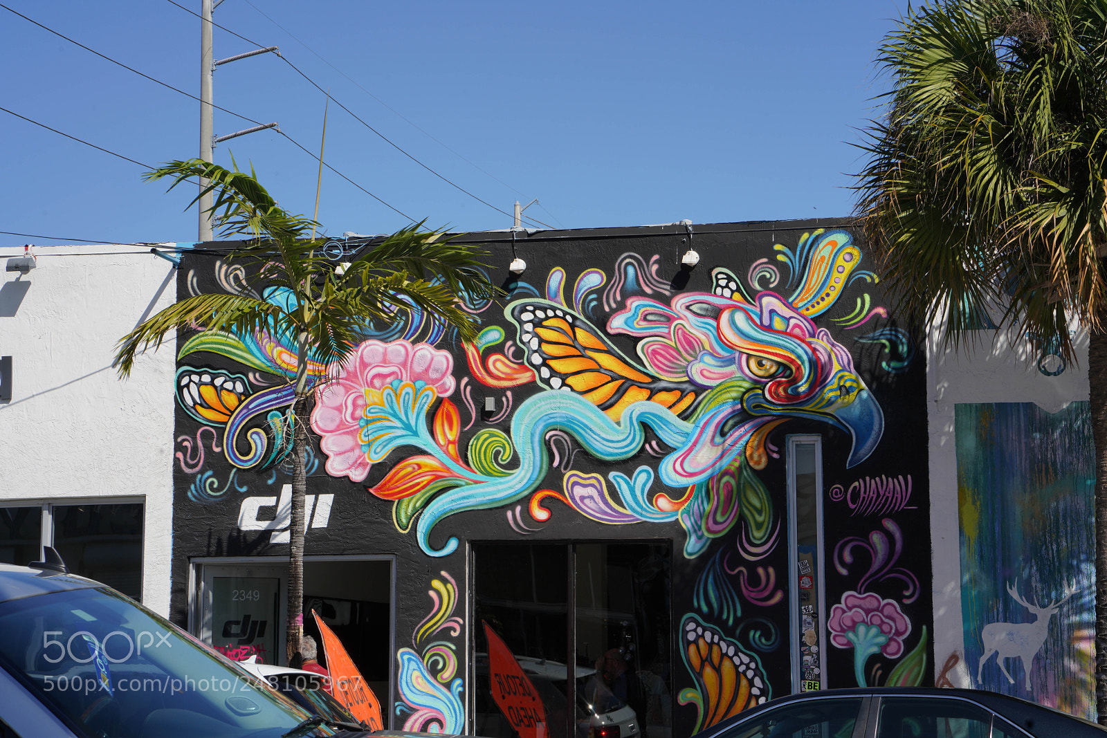 Sony a7R III sample photo. Wynwood walls and streets 2018 photography