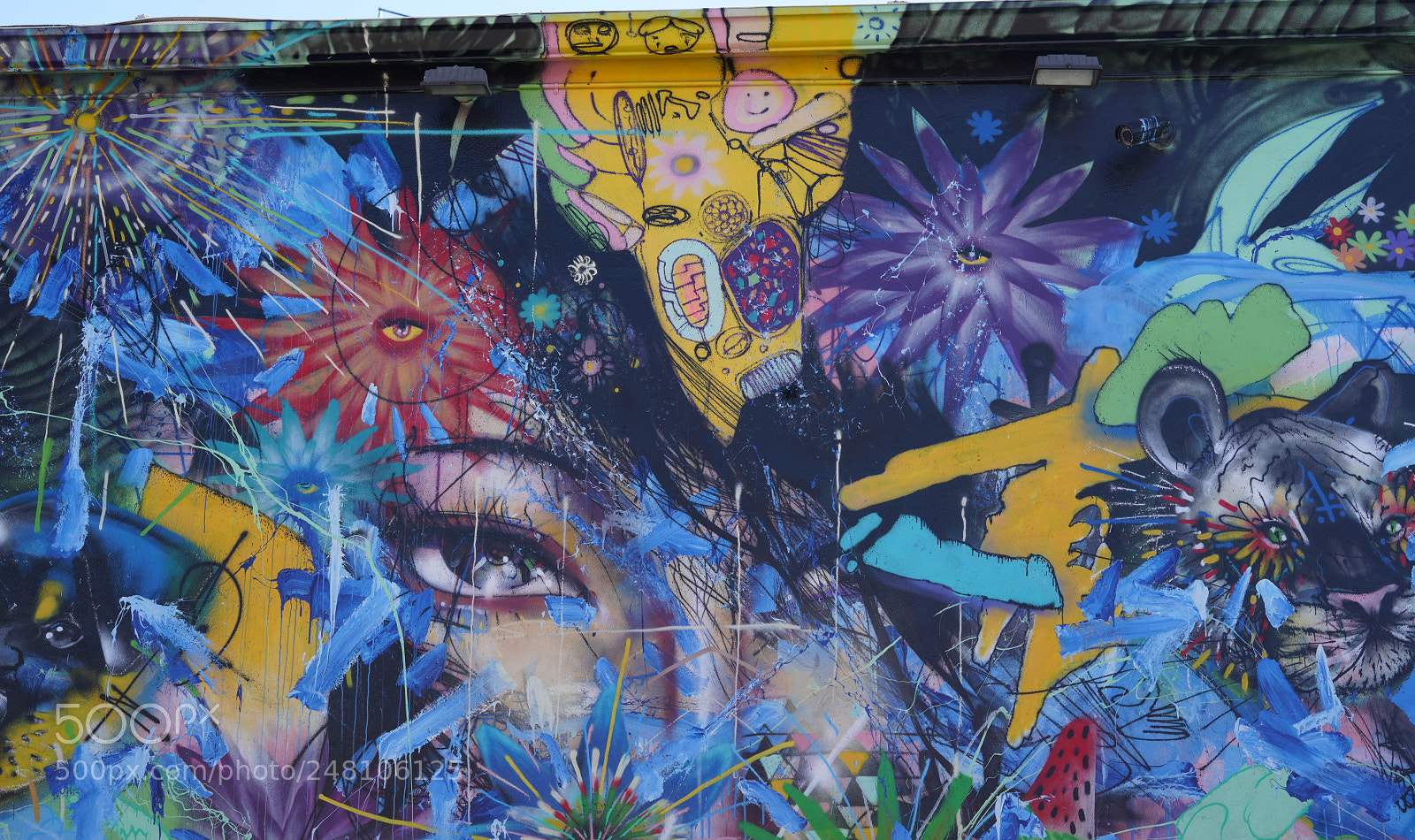 Sony a7R III sample photo. Wynwood walls and streets 2018 photography