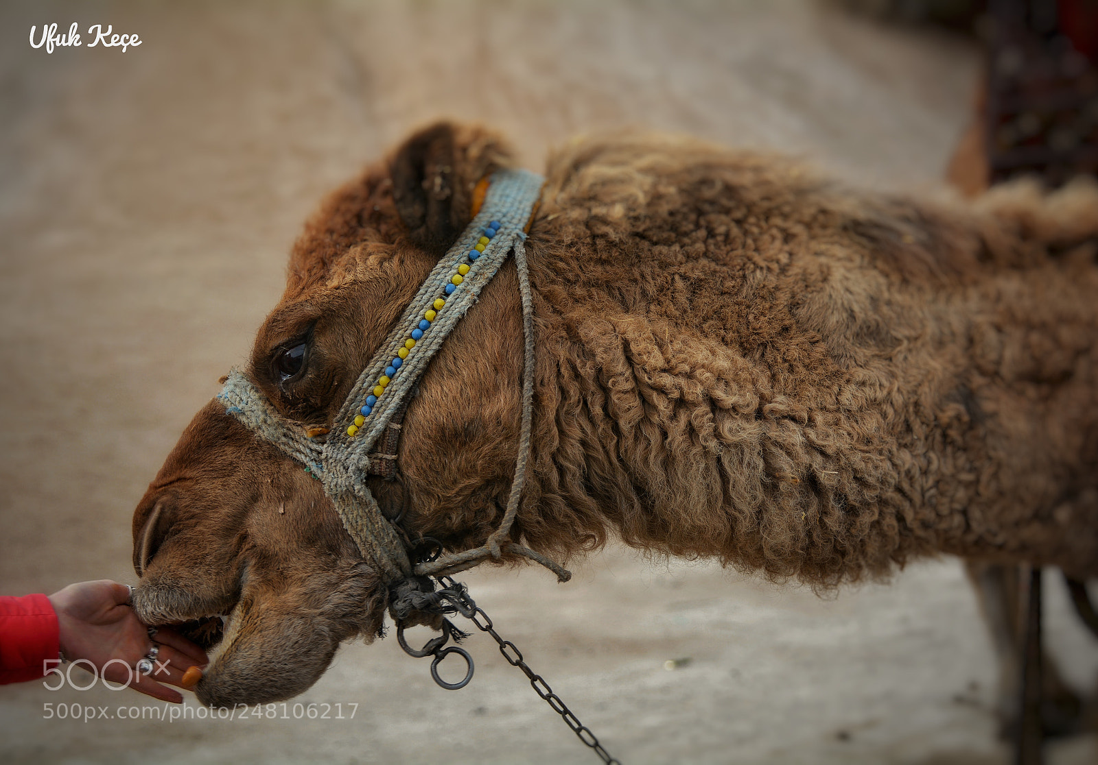 Nikon D5200 sample photo. Göreme, nevşehir photography