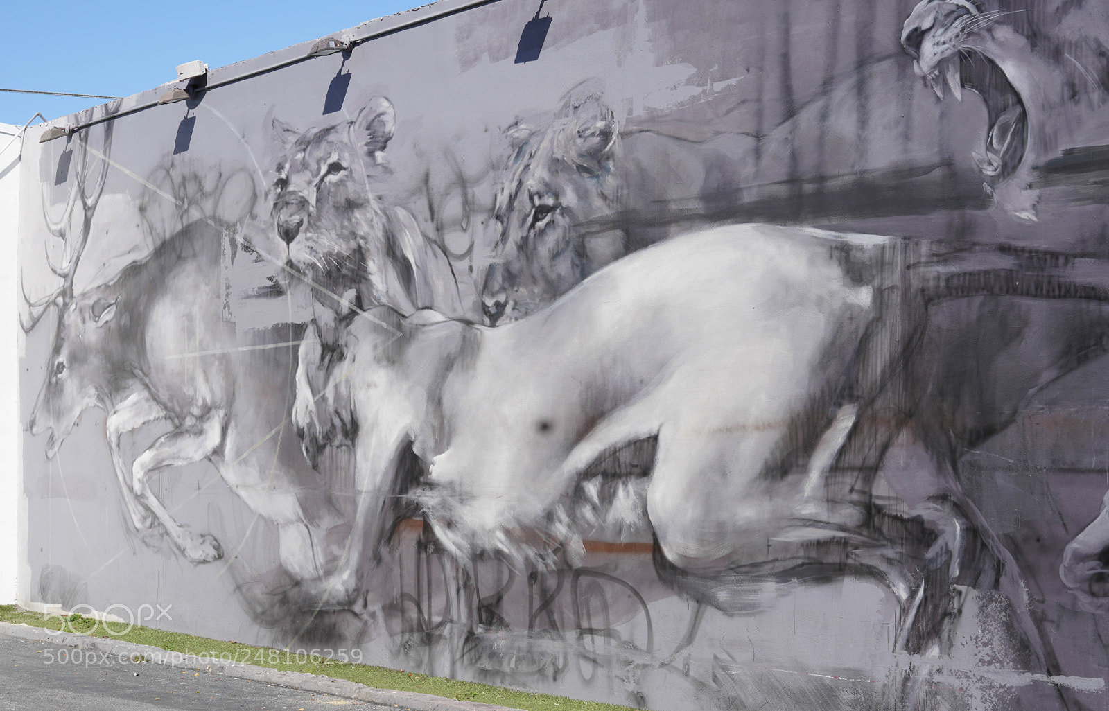 Sony a7R III sample photo. Wynwood walls and streets 2018 photography